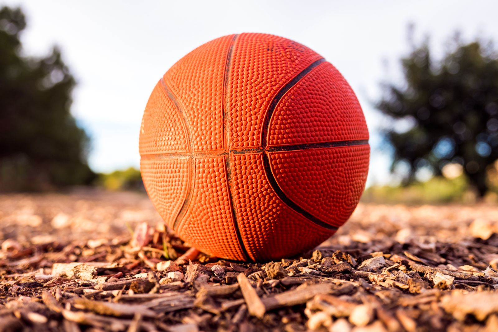 Un pallone di basket in primo piano