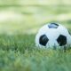 Un pallone di calcio in primo piano
