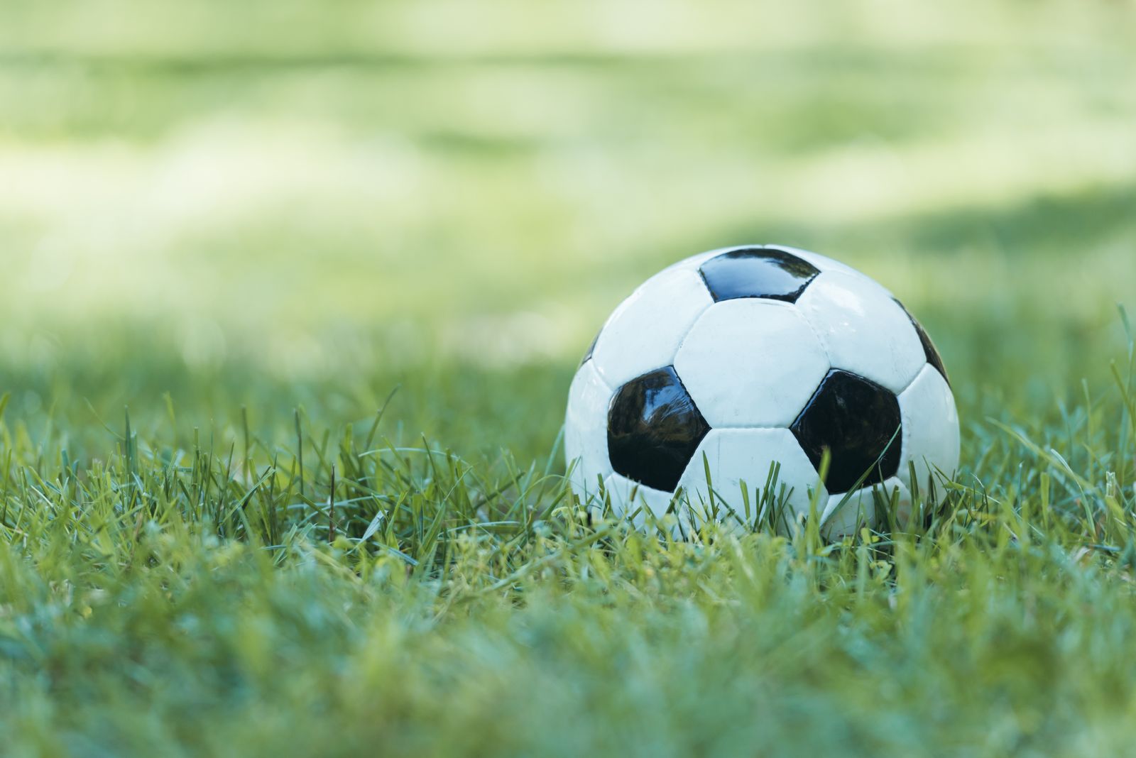 Un pallone di calcio in primo piano