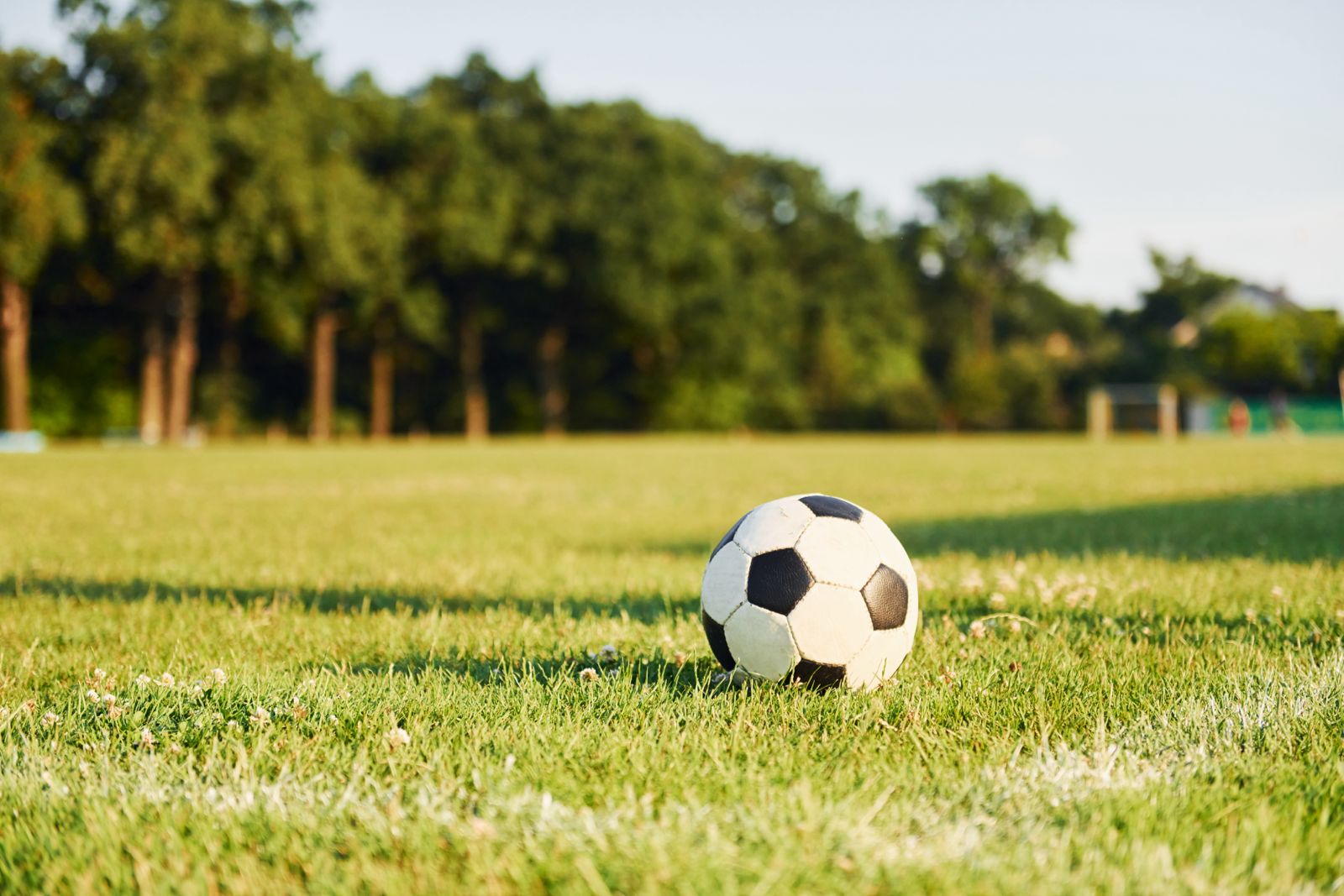 Pallone in un campo di calcio