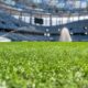 Un campo da calcio in primo piano