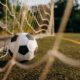 Pallone da calcio che gonfia la rete