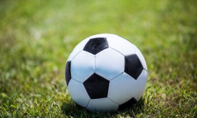 Pallone di calcio
