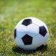 Pallone di calcio