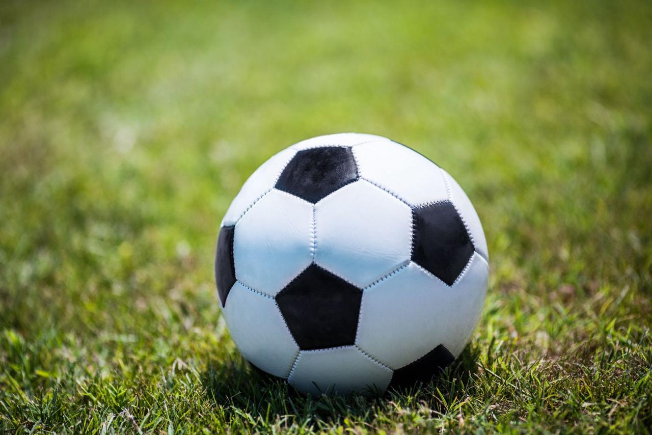 Pallone di calcio