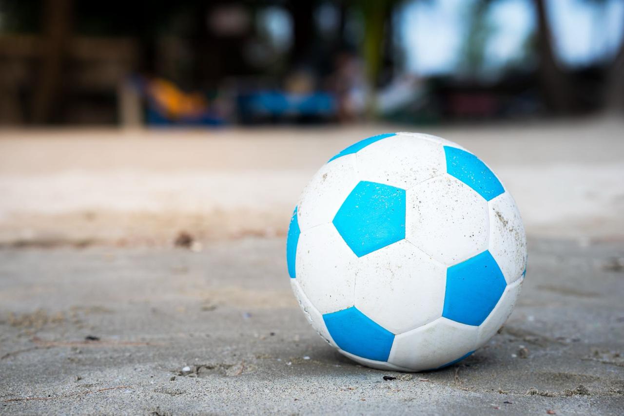 Pallone di calcio