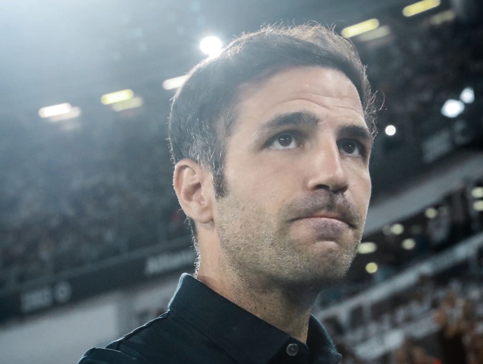 Primo piano di Cesc Fàbregas