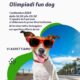 Locandina dell'ASD DharmaDog sulle Olimpiadi Fun Dog di Lipomo