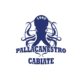 Stemma della Pallacanestro Cabiate