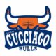 Stemma del Cucciago Bulls