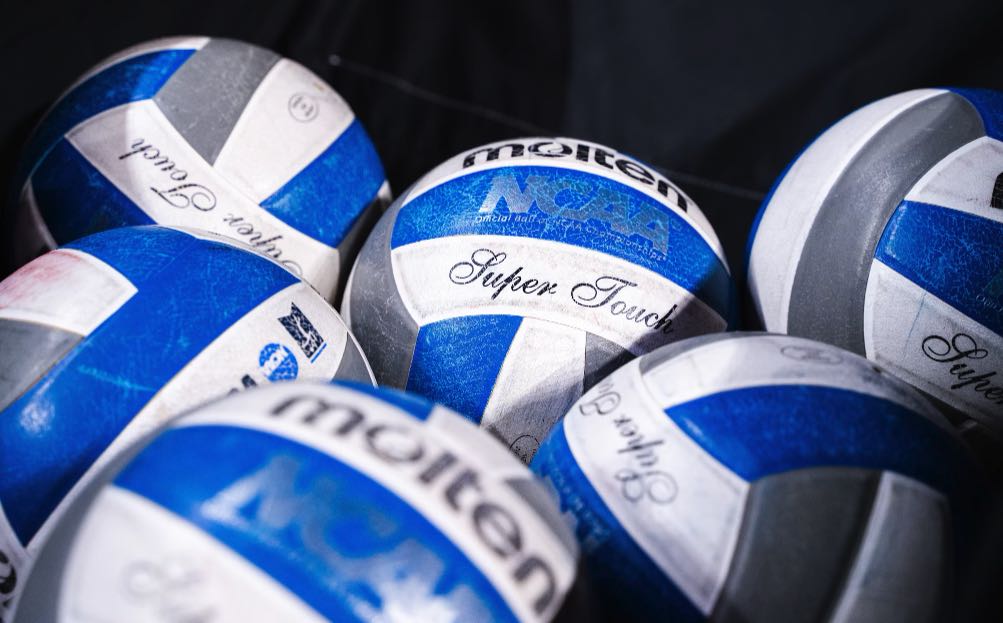 Palloni da volley